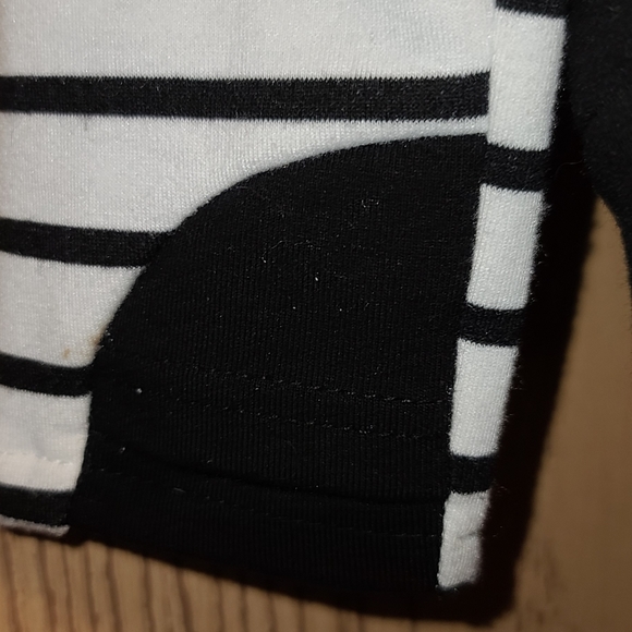 Rogue Double Hoodie NWOT Sz S - Picture 6 of 8